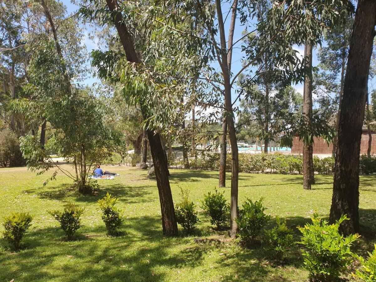 Punta Del Este, Forest Lagoon, Luxury Exteriör bild